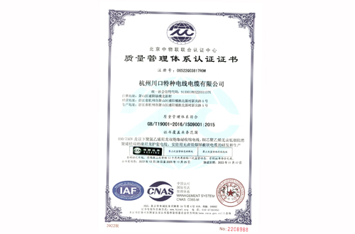 ISO9001质量管理体系认证证书最新版-2022 中